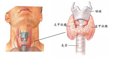 王振国教授教你读懂甲状腺检查报告|医院学术交流